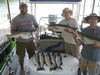 (07/16/2016) - Nice Striped Bass